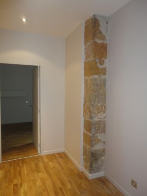 Pierres apparentes dans le salon